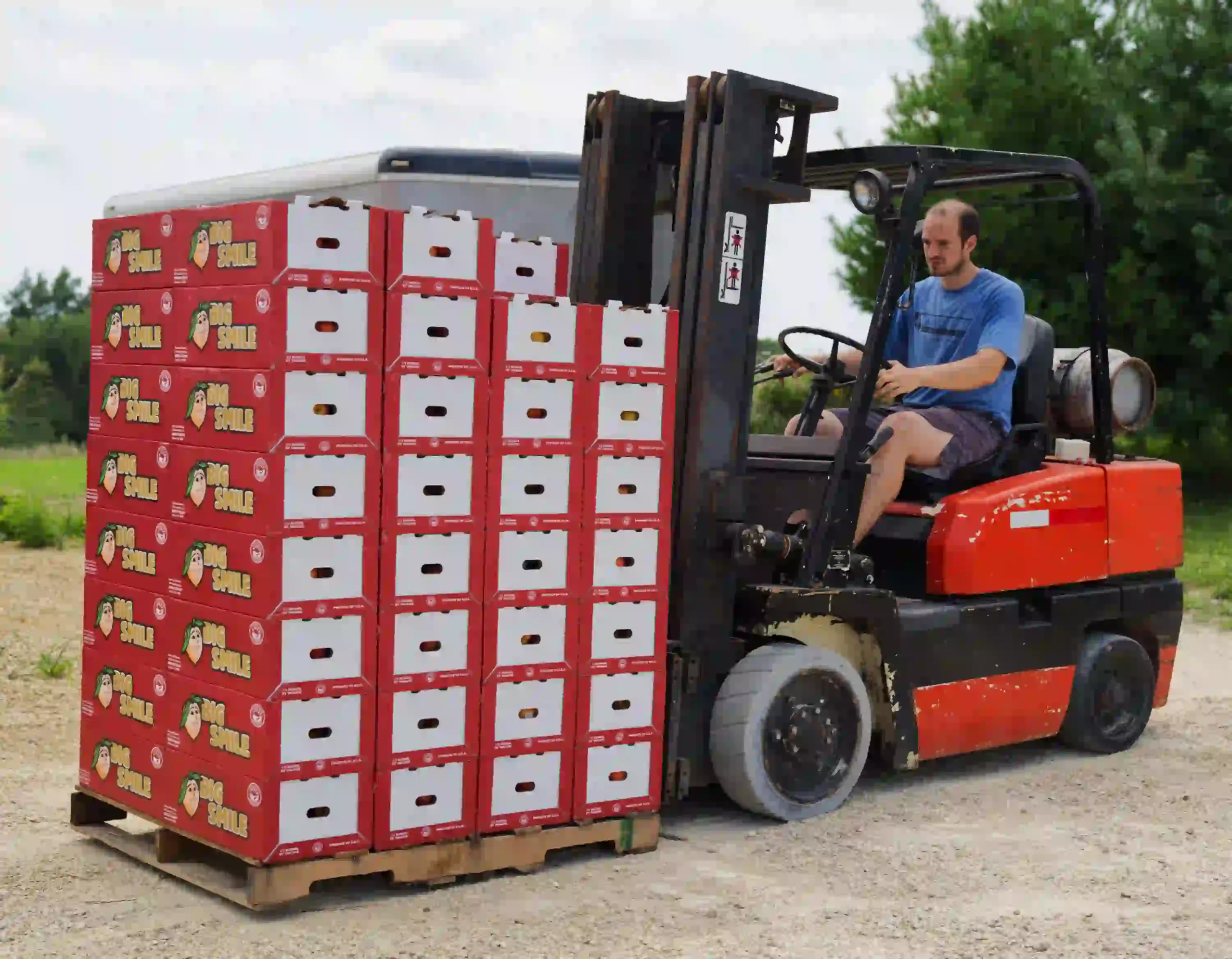Forklift with Peaches Forklift with Peaches scaled